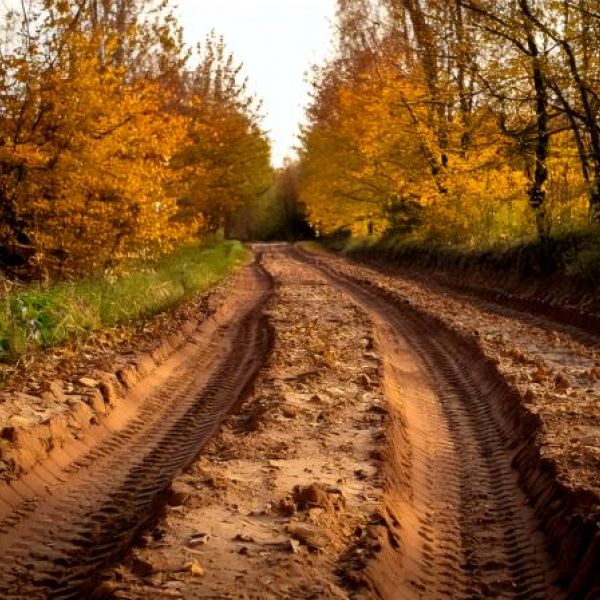 pair of three feet deep ruts on a dirt road in autumn