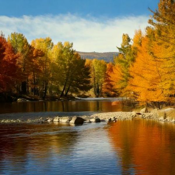 Image created by AI via Adobe Firefly with the prompt: calm peaceful fall scenery